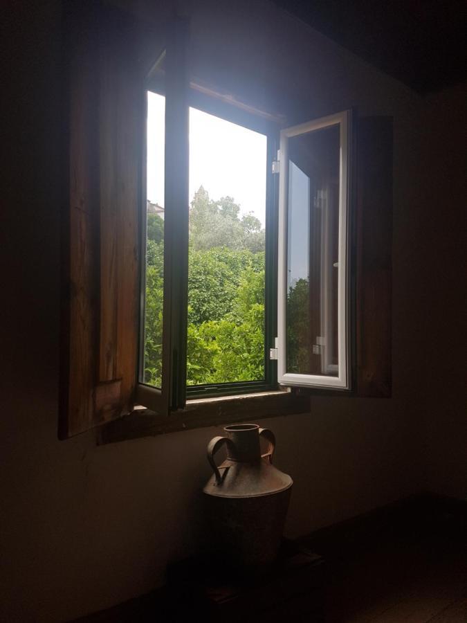 Casa Da Vila Penamacor Kültér fotó
